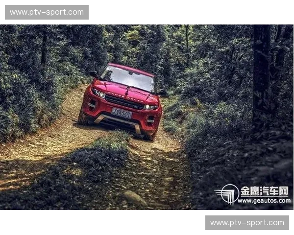 预测山地车:用智能与直觉征服每一条山路