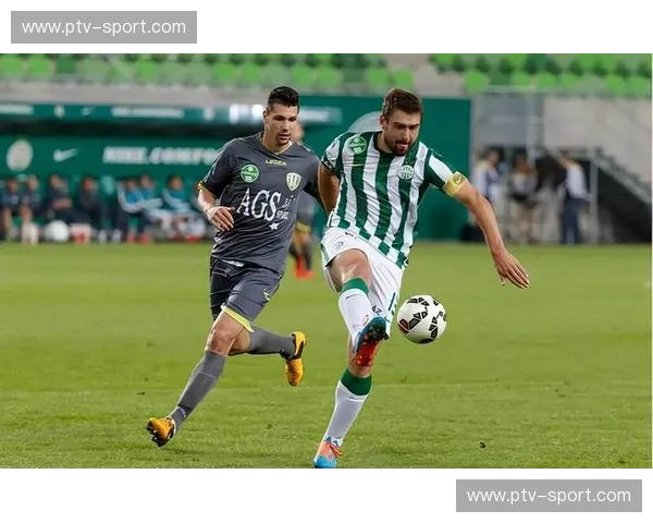 马尔默的蓝色风暴,赫根的绿色希望——北欧足球的激情碰撞